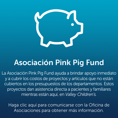 Botón de «Pink Pig Fund»